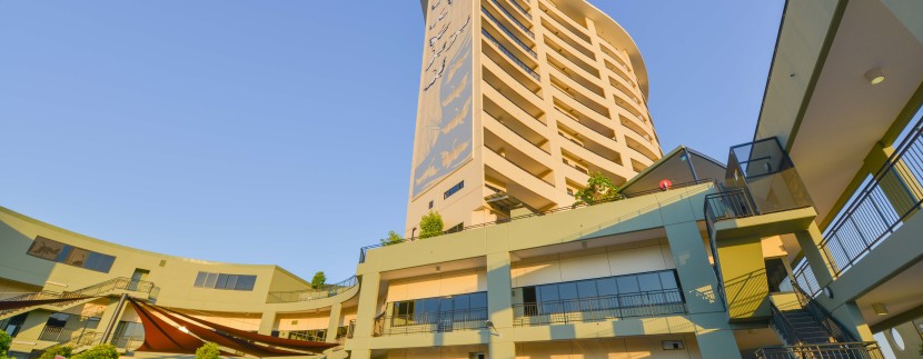 DSC_0826