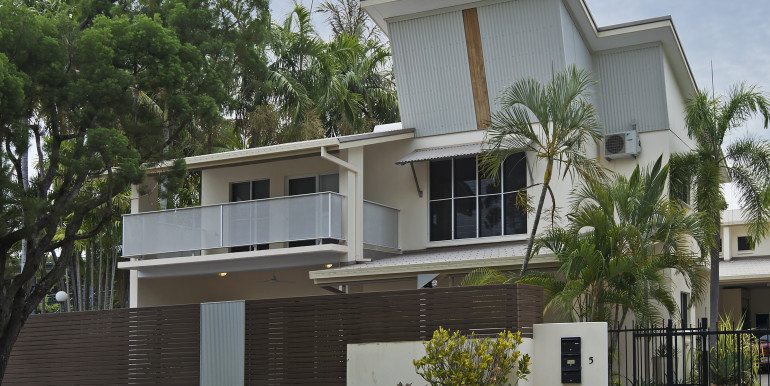 Banyan01