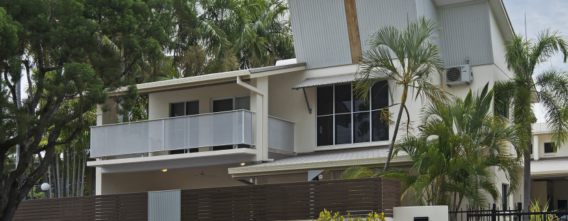 Banyan01