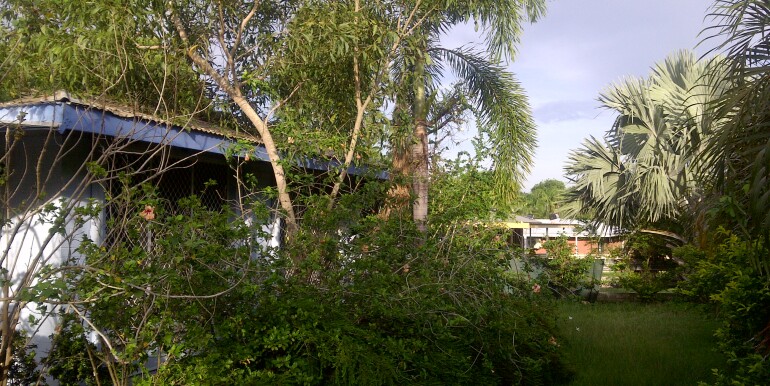 IMG-20111215-00063